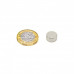 12mm x 6mm (12x6 mm) Neodymium Disc Strong Magnet
