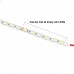 12V Cold White 5050 SMD LED Strip - 5Meter 12V Cold White 5050 SMD LED Strip - 5Meter