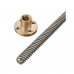 200mm Trapezoidal Single Start Lead Screw 8mm Thread 2mm Pitch Lead Screw with Copper Nut 200mm Trapezoidal Single Start Lead Screw 8mm Thread 2mm Pitch Lead Screw with Copper Nut