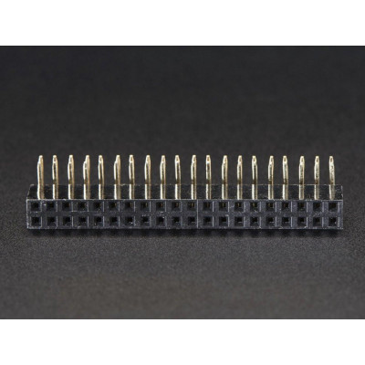 2x20 Pin 2.54mm Pitch (Right Angle) Female Header Berg Strip