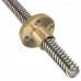 350mm Trapezoidal 4 Start Lead Screw 8mm Thread 2mm Pitch Lead Screw with Copper Nut