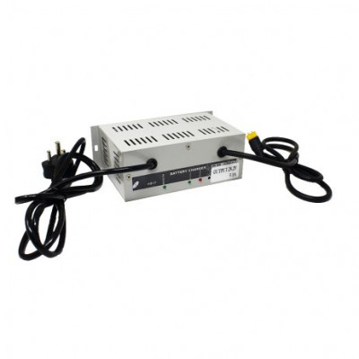 8S LiFePO4 29.2V 5A Battery Charger with XT60 Connector