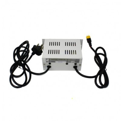 Battery Charger 3S LiFePO4 10.95V 5A with XT60 Connector