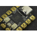 DFRobot Beetle RP2040 Mini Development Board DFRobot Beetle RP2040 Mini Development Board
