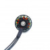 DYS X2812 1115 KV 2-6S Brushless Motor DYS X2812 1115 KV 2-6S Brushless Motor
