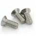 SS 304 CSK Countersunk Philips Head M2.5 X 8 mm Bolt - 10 Pieces pack