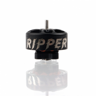 Holybro Ripper 1404 3800KV Ultralight Brushless Motor (One Qty) Holybro Ripper 1404 3800KV Ultralight Brushless Motor (One Qty)