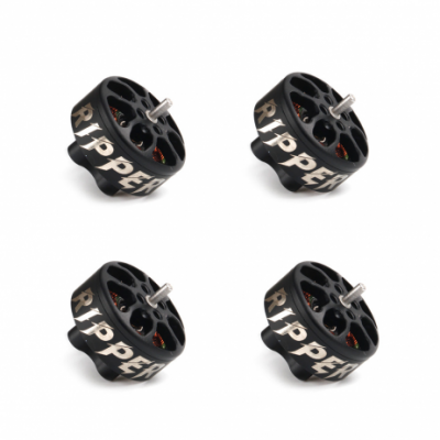 Holybro Ripper 1404 3800KV Ultralight Brushless Motor (Pack of 4) Holybro Ripper 1404 3800KV Ultralight Brushless Motor (Pack of 4)