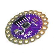 Lilypad Module