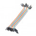 Male to Female Jumper Wires 40 Pin 30cm