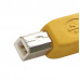MX USB B Male Plug To MX USB Male Plug Connector (MX-1961)