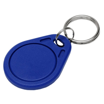 125kHz RFID Tag with Keychain