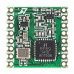 RFM69HCW 915 MHz Wireless Receiving Module