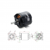 SURPASS HOBBY C5065 14pole Outrunner Brushless Moror for Fixed Wing Aircraft6.0*23mm 4.0mm Connector (335 KV) SURPASS HOBBY C5065 14pole Outrunner Brushless Moror for Fixed Wing Aircraft6.0*23mm 4.0mm Connector (335 KV)